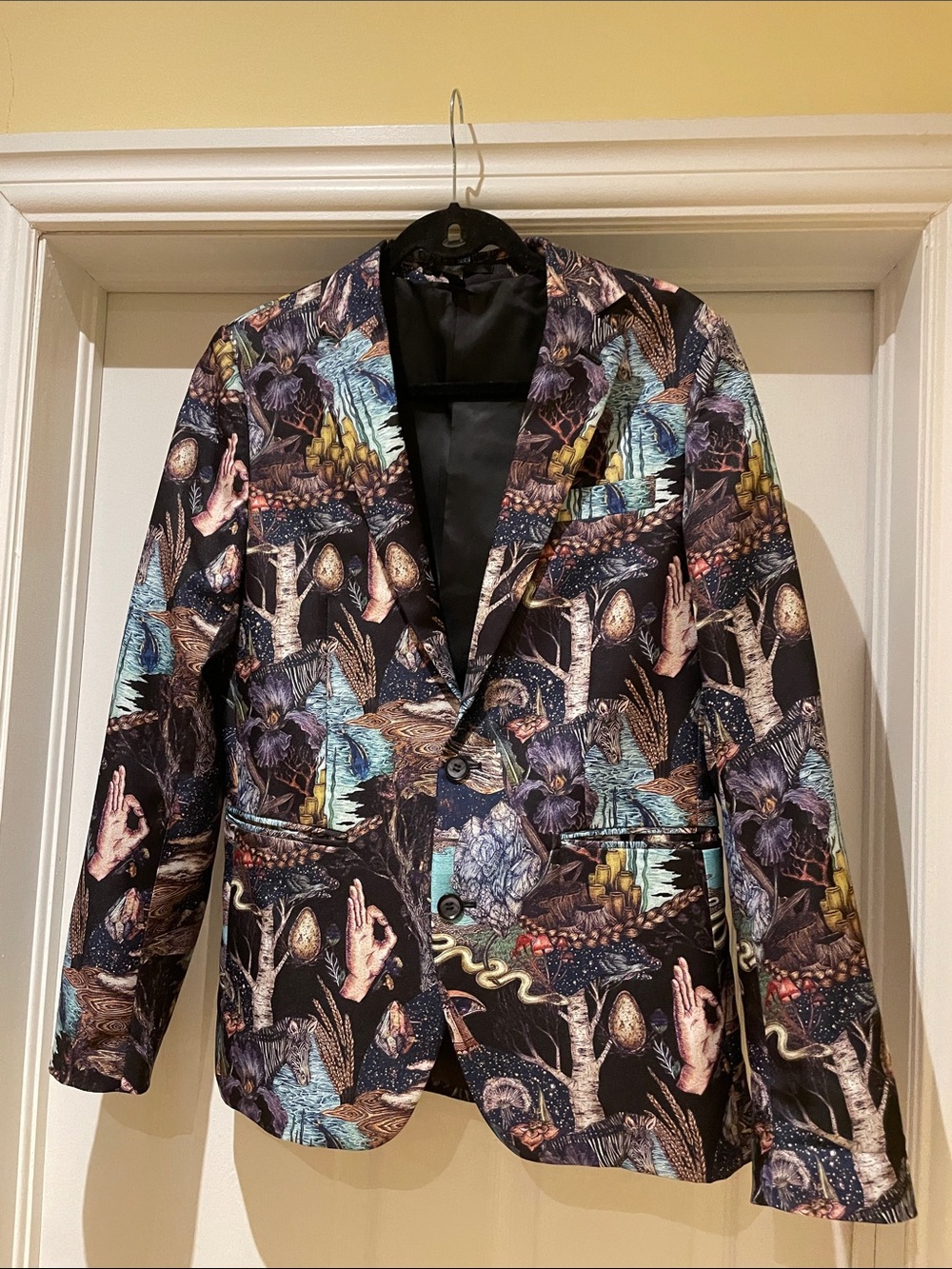 Devile’s Advocate Blazer Surrealist Botanical Maximalist 38